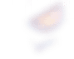 Pricing BG